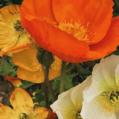 宝博体育靠谱 app怎么下载2025最新版