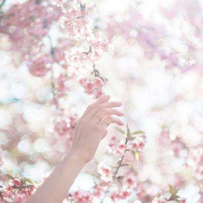 宝博体育靠谱 app怎么下载2025最新版